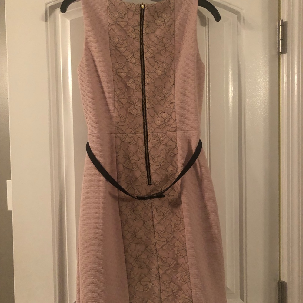 The Limited Pink Fitted Dress W/ Lace Back Detail - Picture 2 of 5